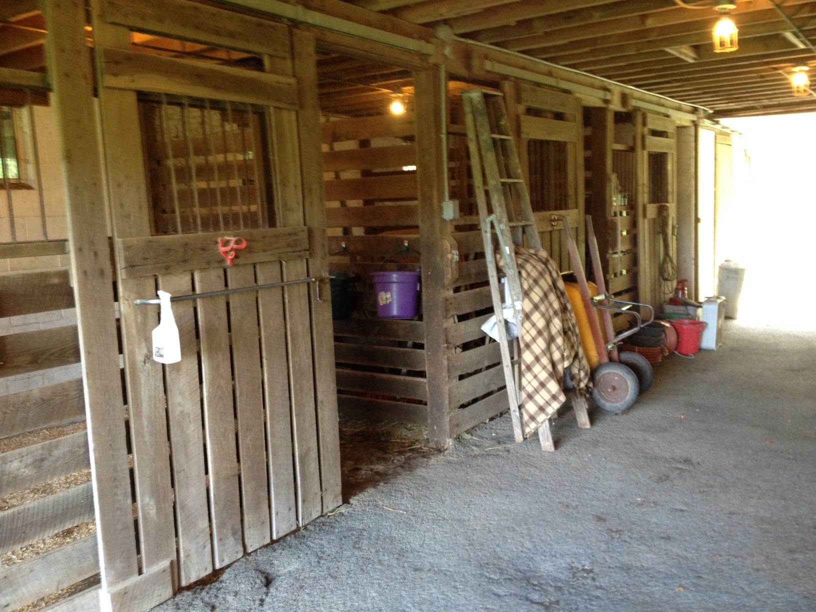 8 Acre Horse Farm For Sale in Saylorsburg, PA